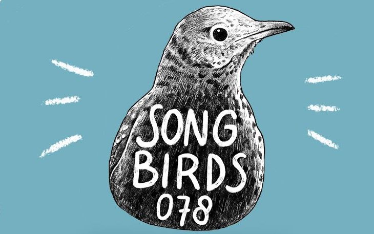 Songbirds 078 Dordrecht (NL)